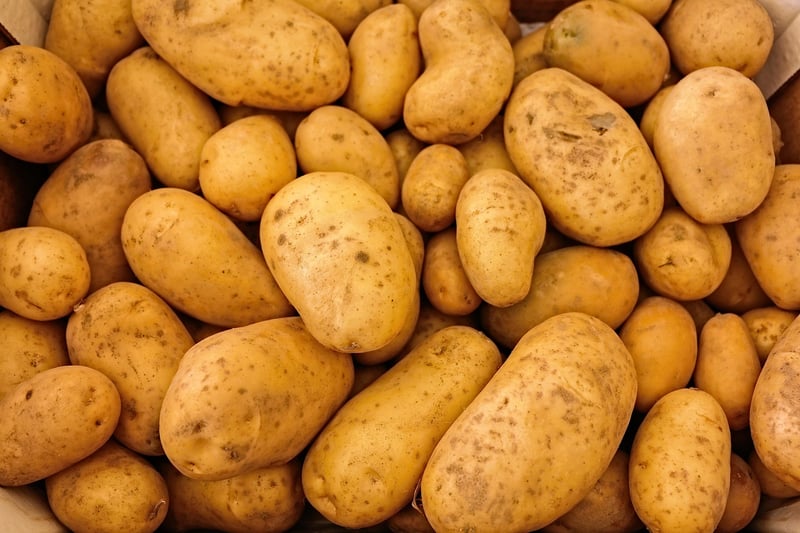 Healthy Organic Food